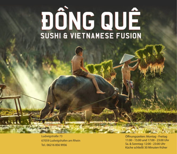 dong que-01 dong que-01